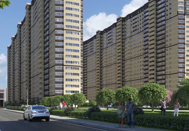 �� �������, �. ���������