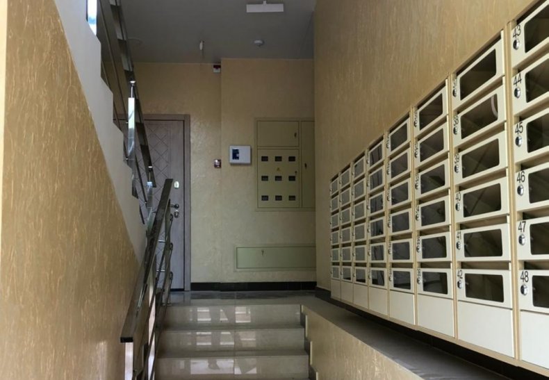 �� ��������, �. ����