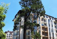 �� �����